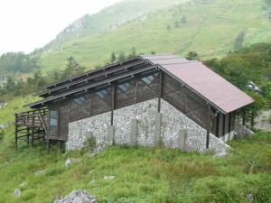 img0016.jpg