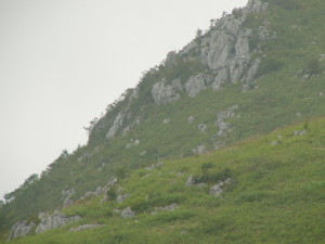 img0017.jpg