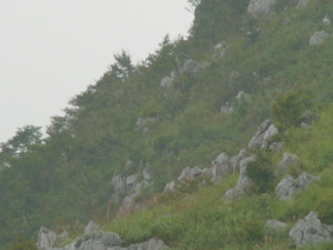 img0018.jpg