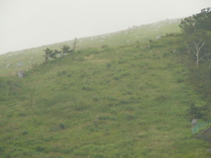 img0019.jpg