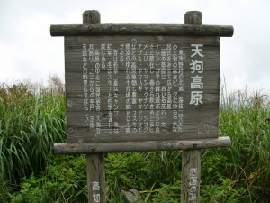 img0024.jpg