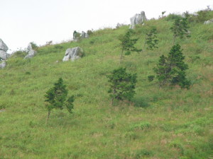 img0025.jpg