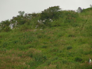img0027.jpg