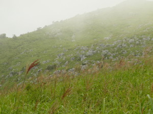 img0033.jpg