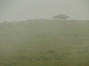 img0034.jpg