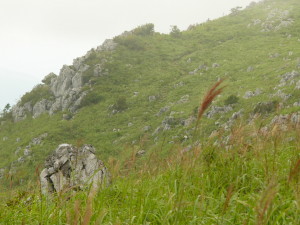 img0037.jpg