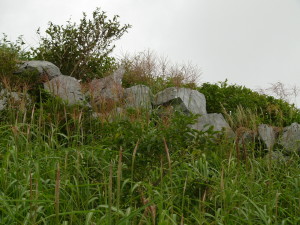img0038.jpg