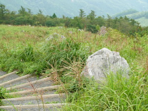 img0039.jpg