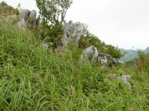 img0041.jpg