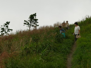img0043.jpg
