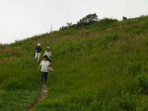 img0044.jpg