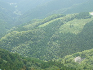 img0051.jpg