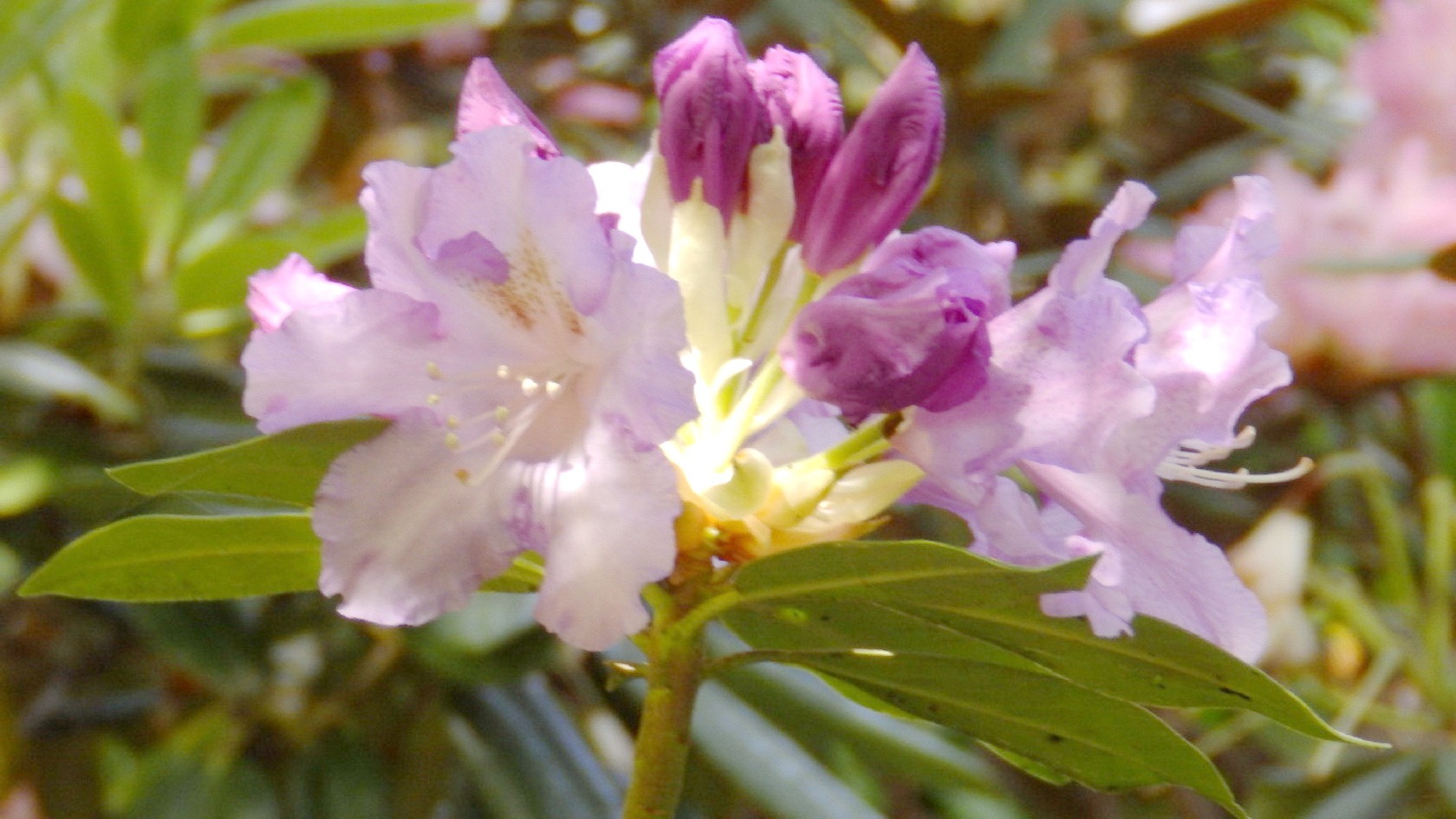 img0047.jpg
