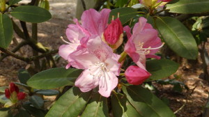 img0012.jpg
