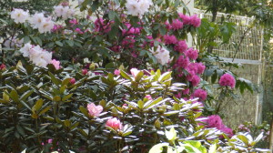 img0051.jpg