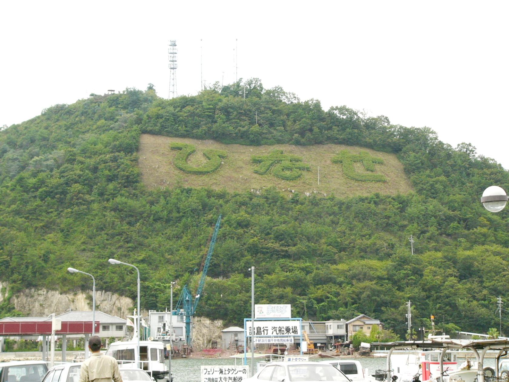 img0009.jpg