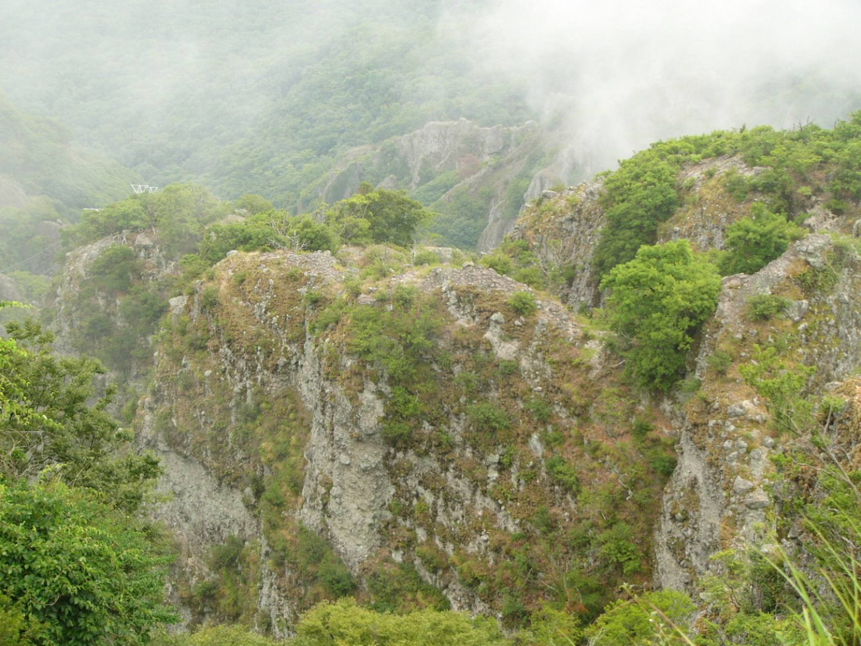 img0007.jpg