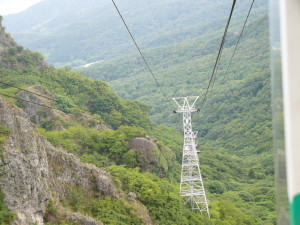 img0031.jpg
