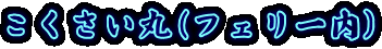 こくさい丸(フェリー内)