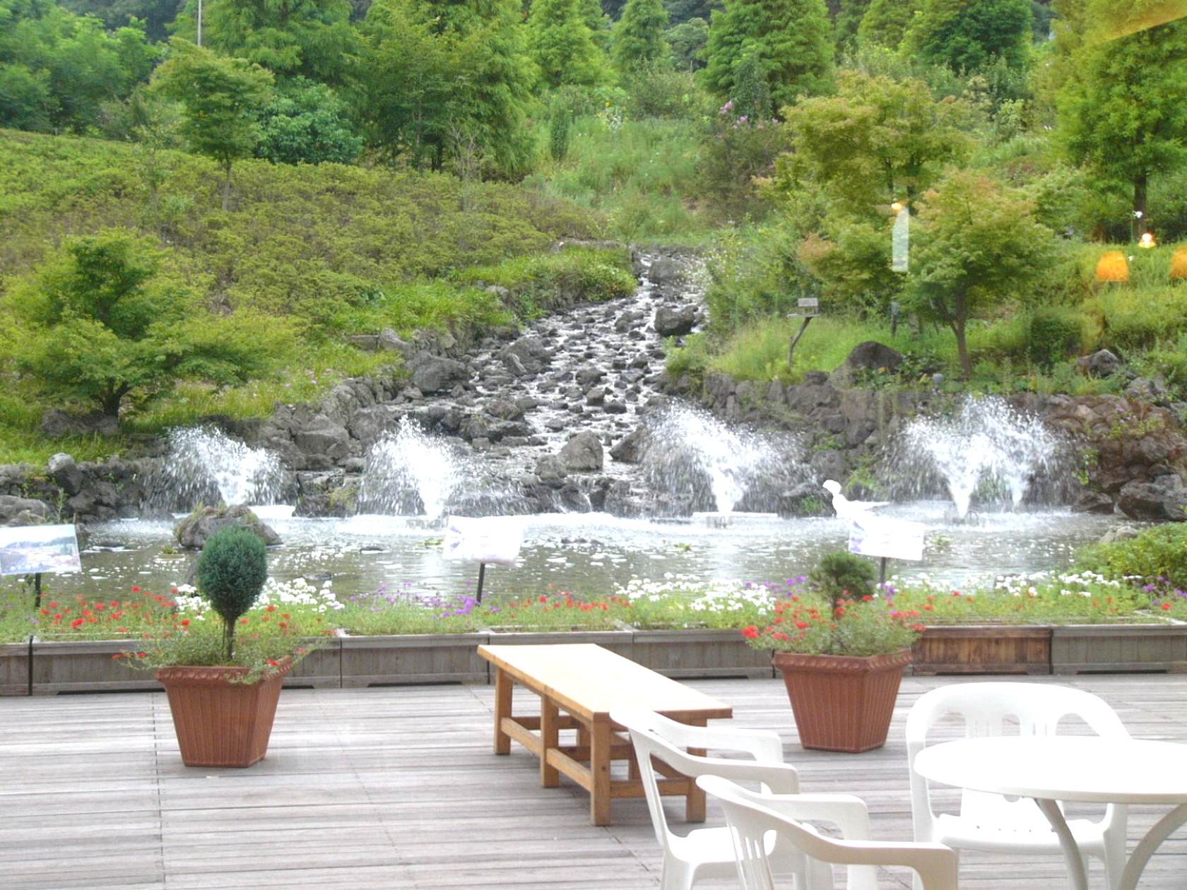 img0010.jpg