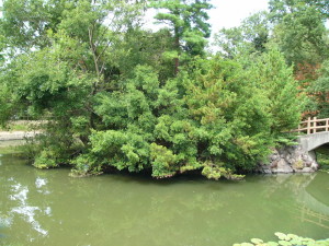 img0075.jpg