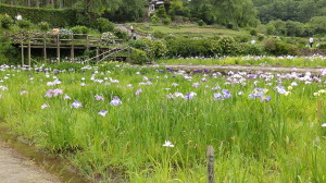 img0021.jpg