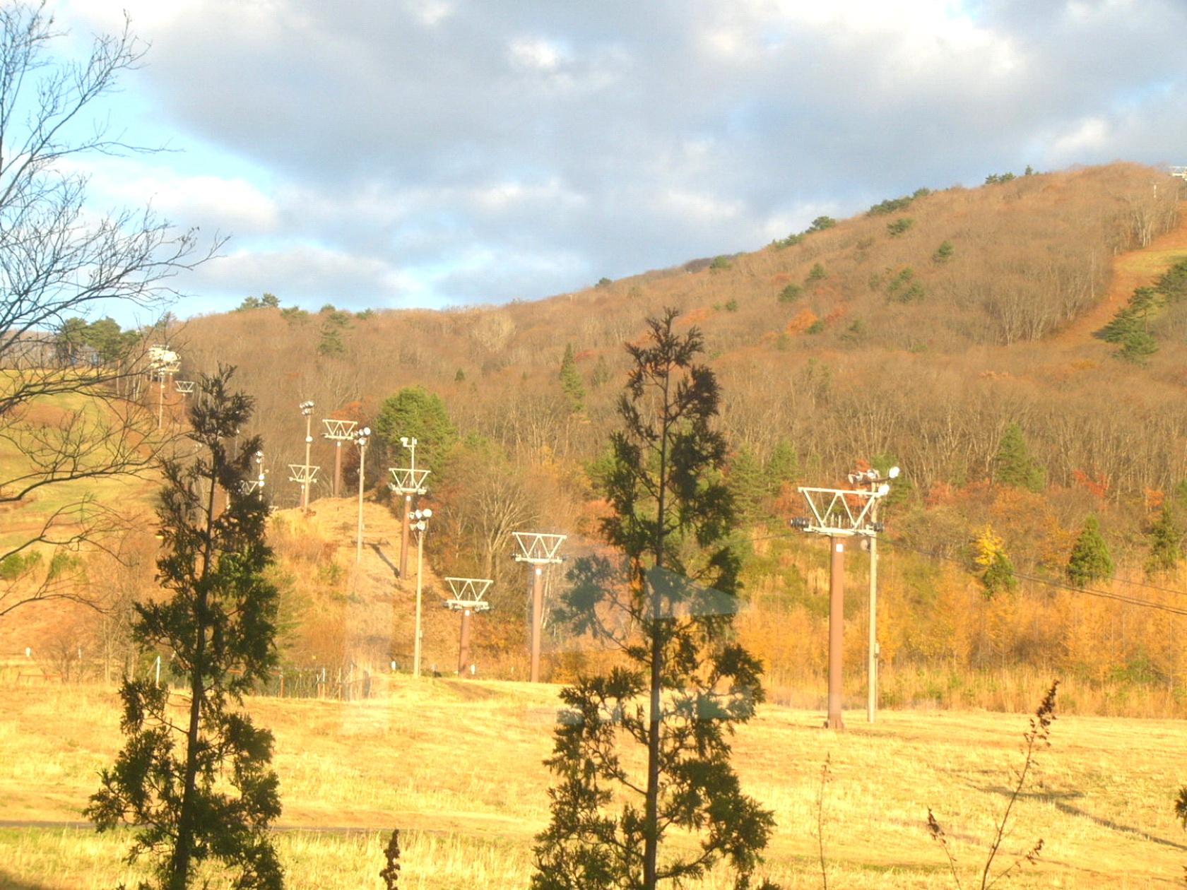 img0007.jpg