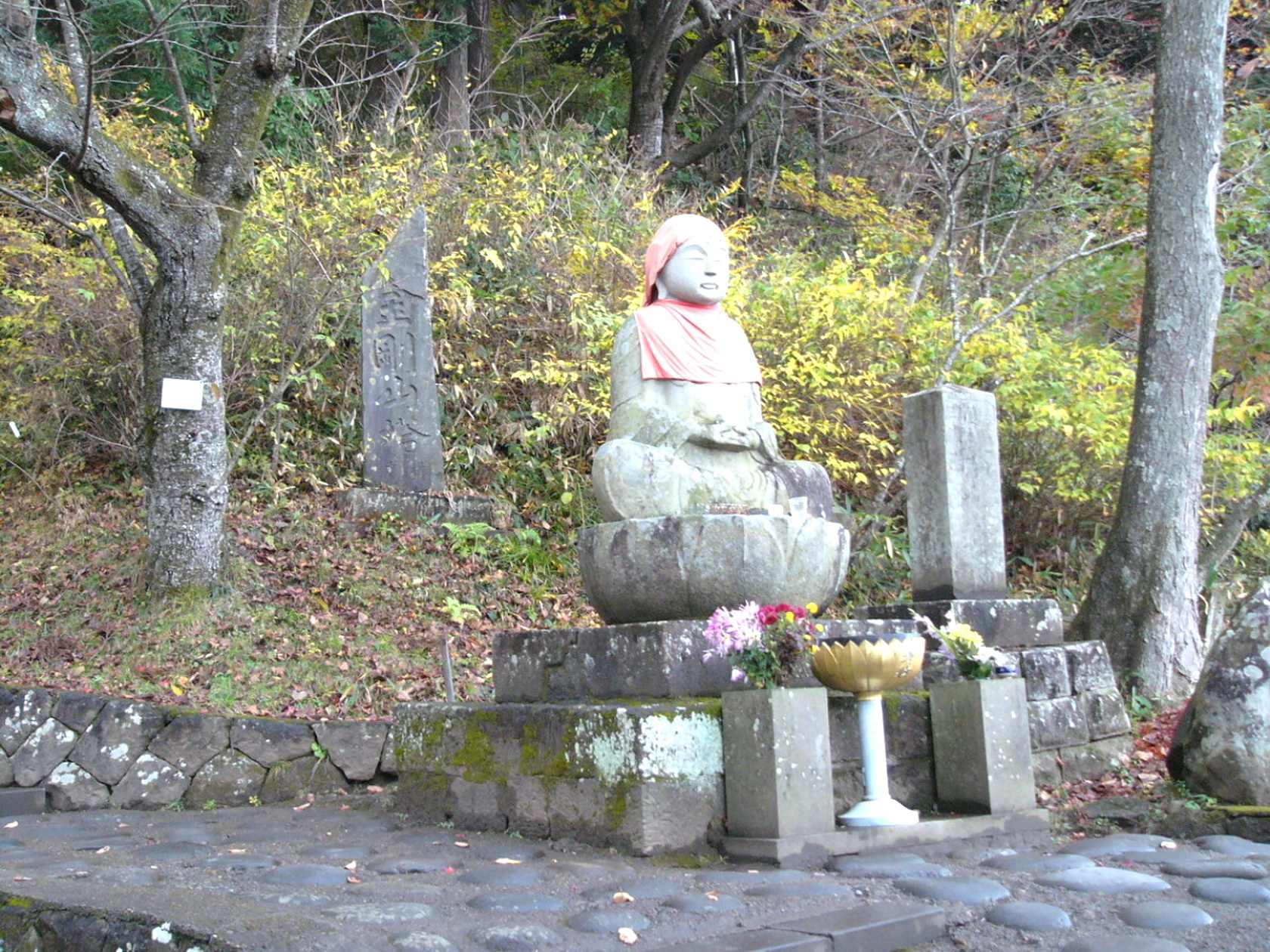 img0056.jpg