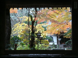 img0017.jpg