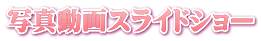 写真動画スライドショー