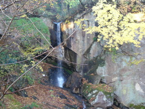 img0005.jpg