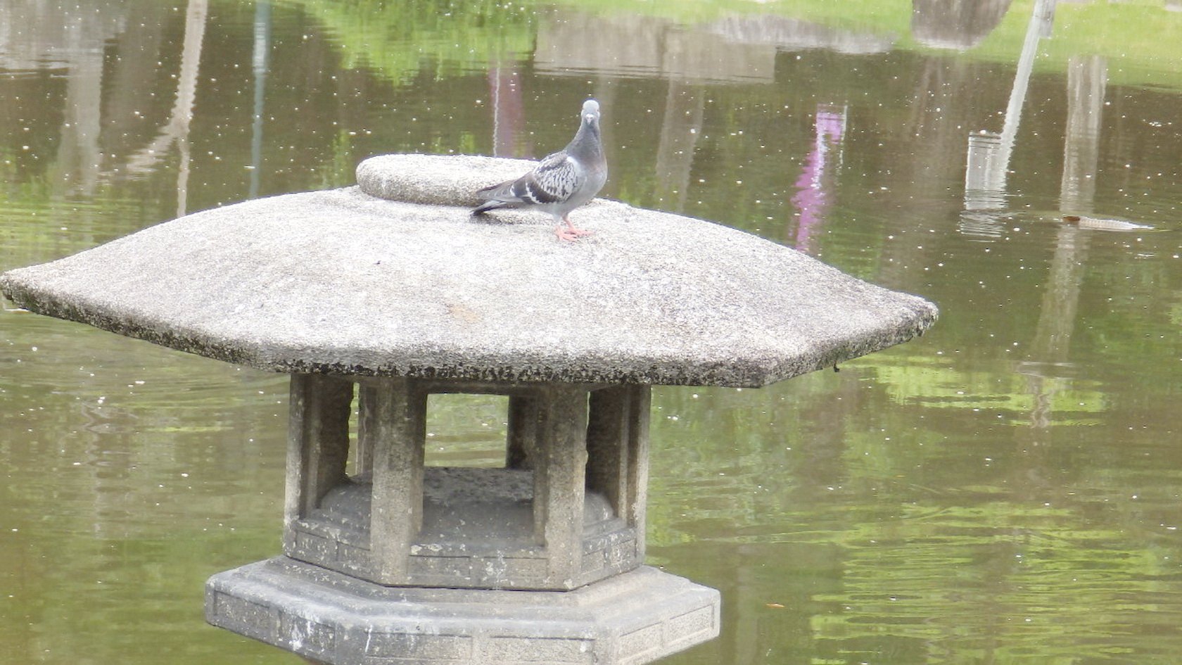 img0019.jpg