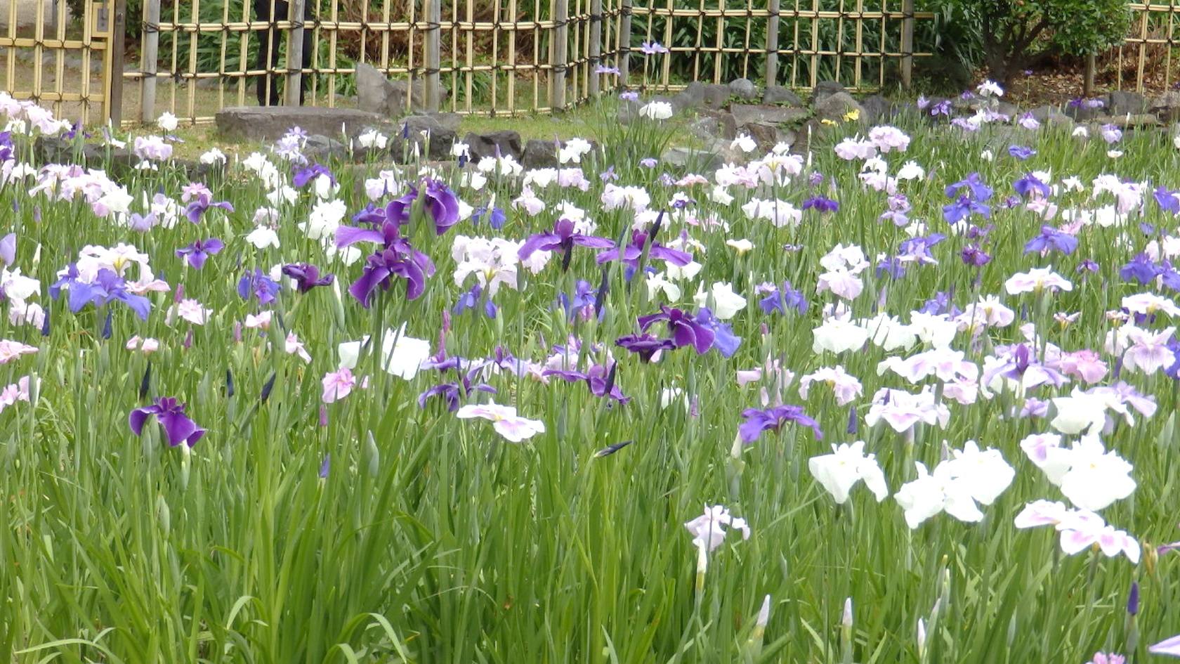 img0023.jpg