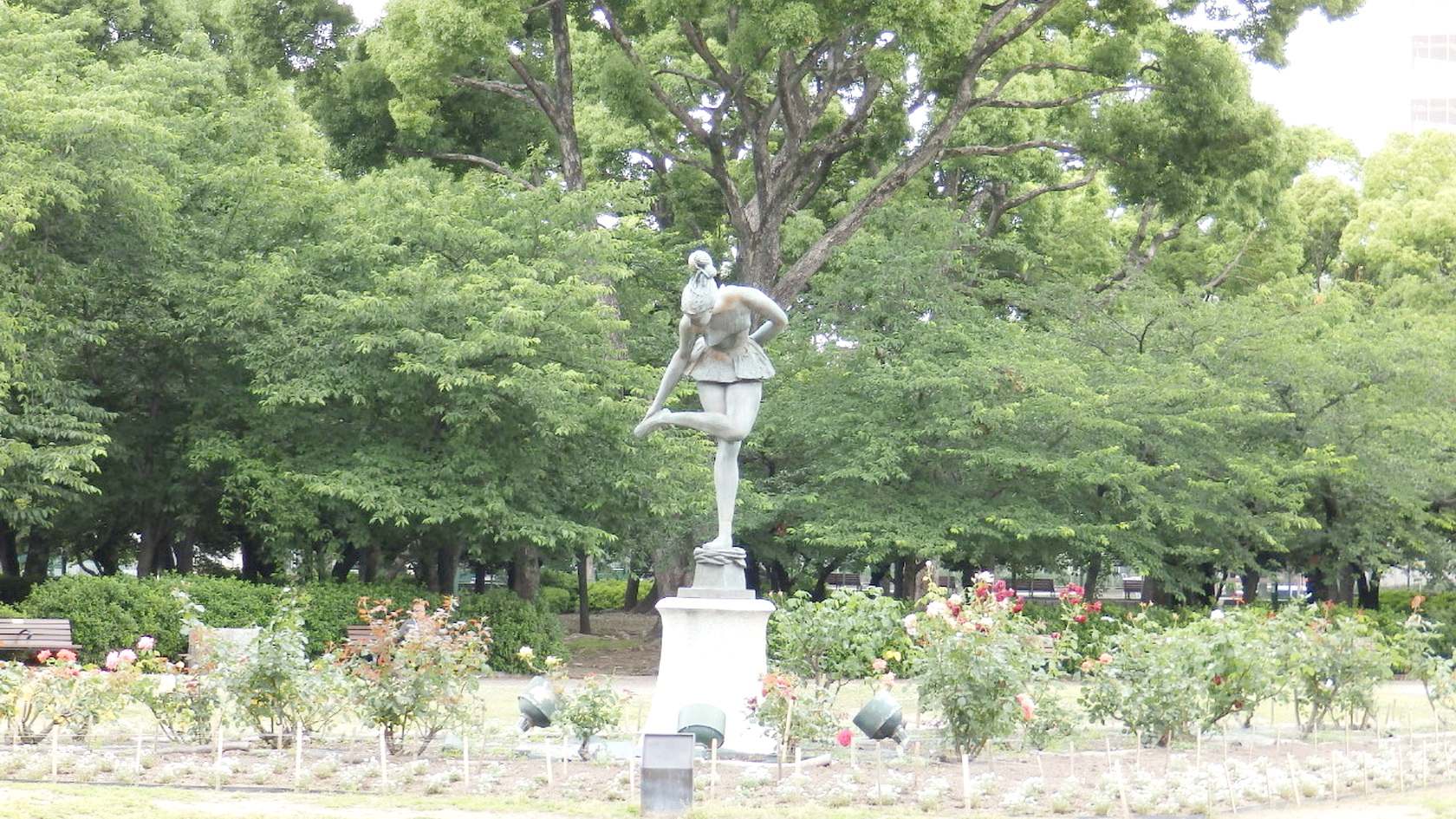 img0050.jpg