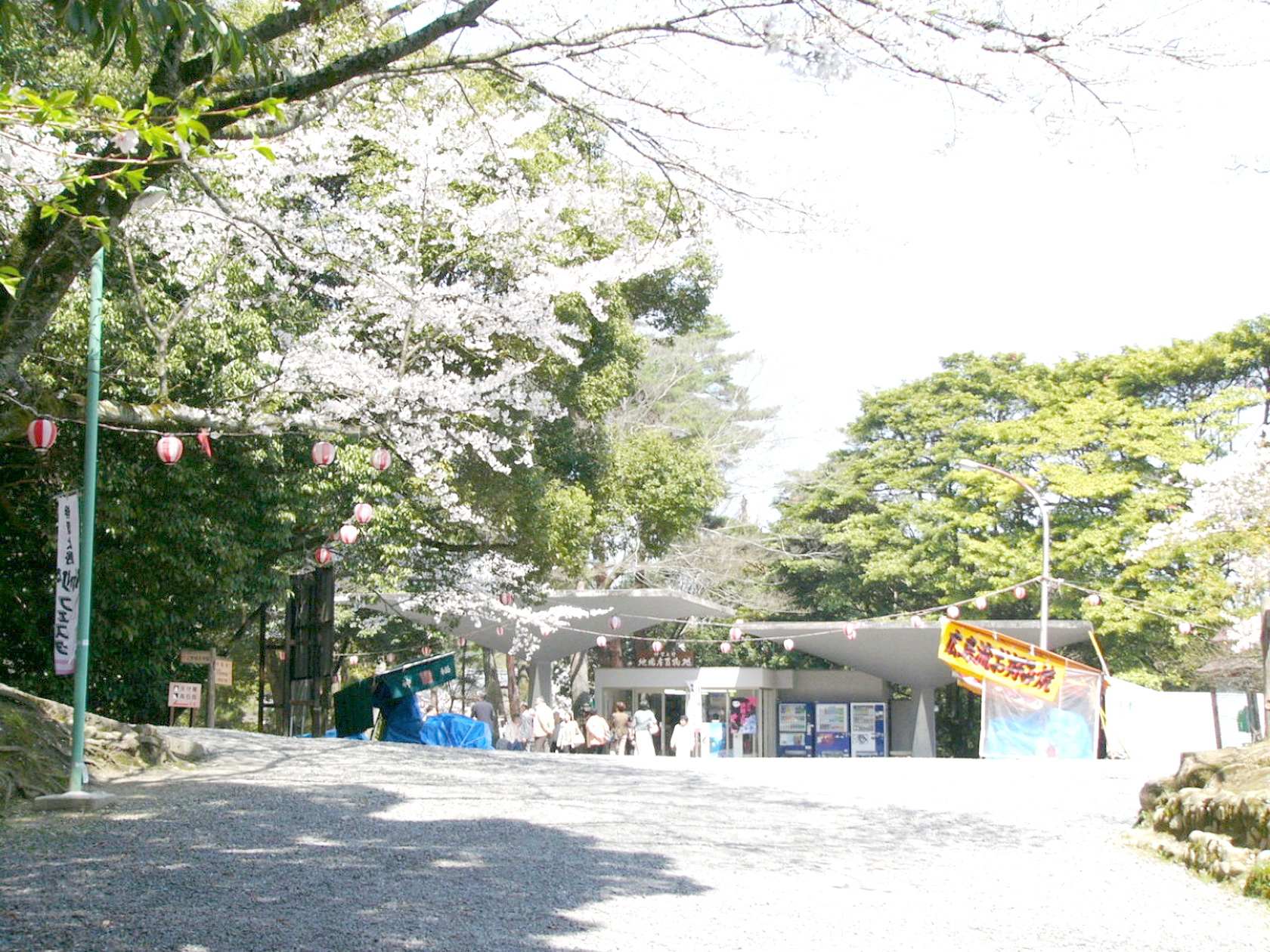 img0000.jpg