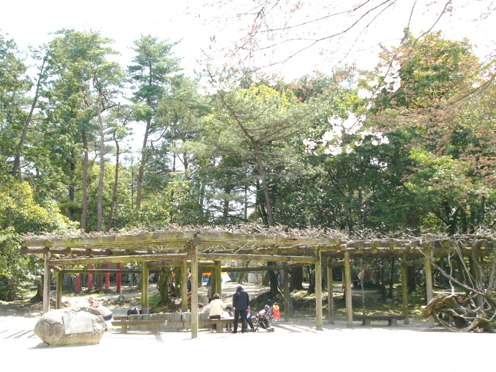 img0058.jpg