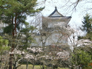 img0032.jpg
