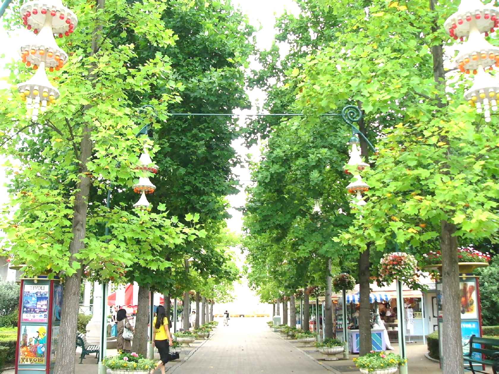 img0006.jpg