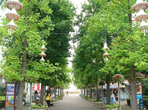 img0006.jpg